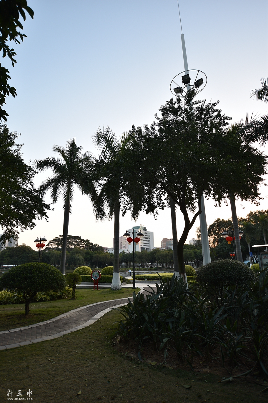 DSC_7963.JPG