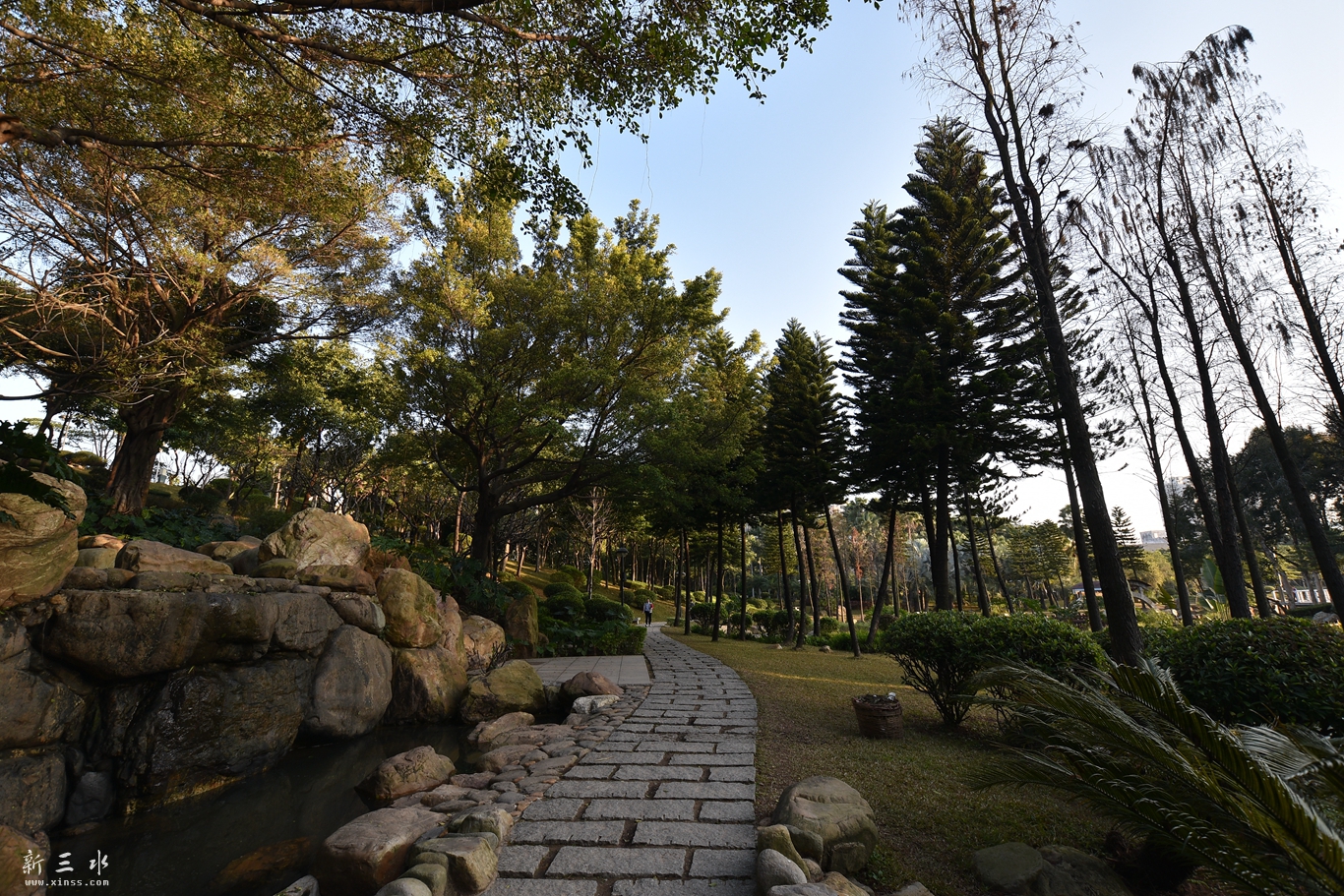 DSC_8071.JPG