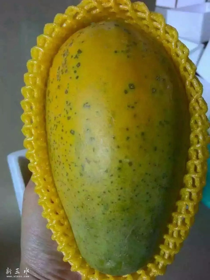 0001.jpg
