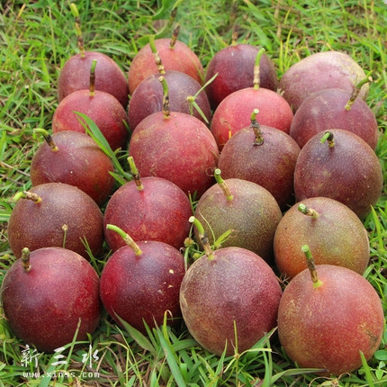 0000.jpg