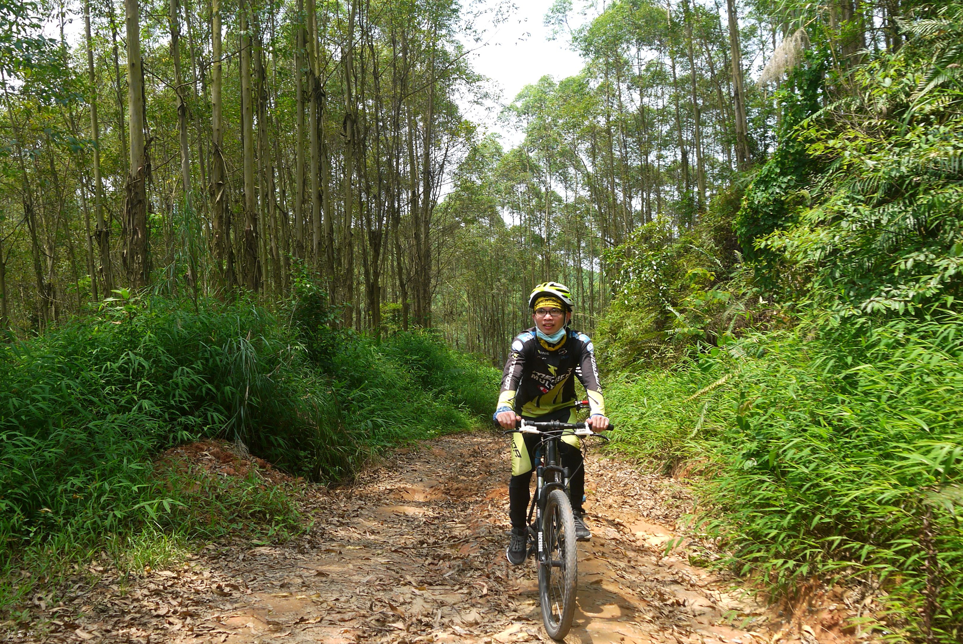 P1400835.JPG