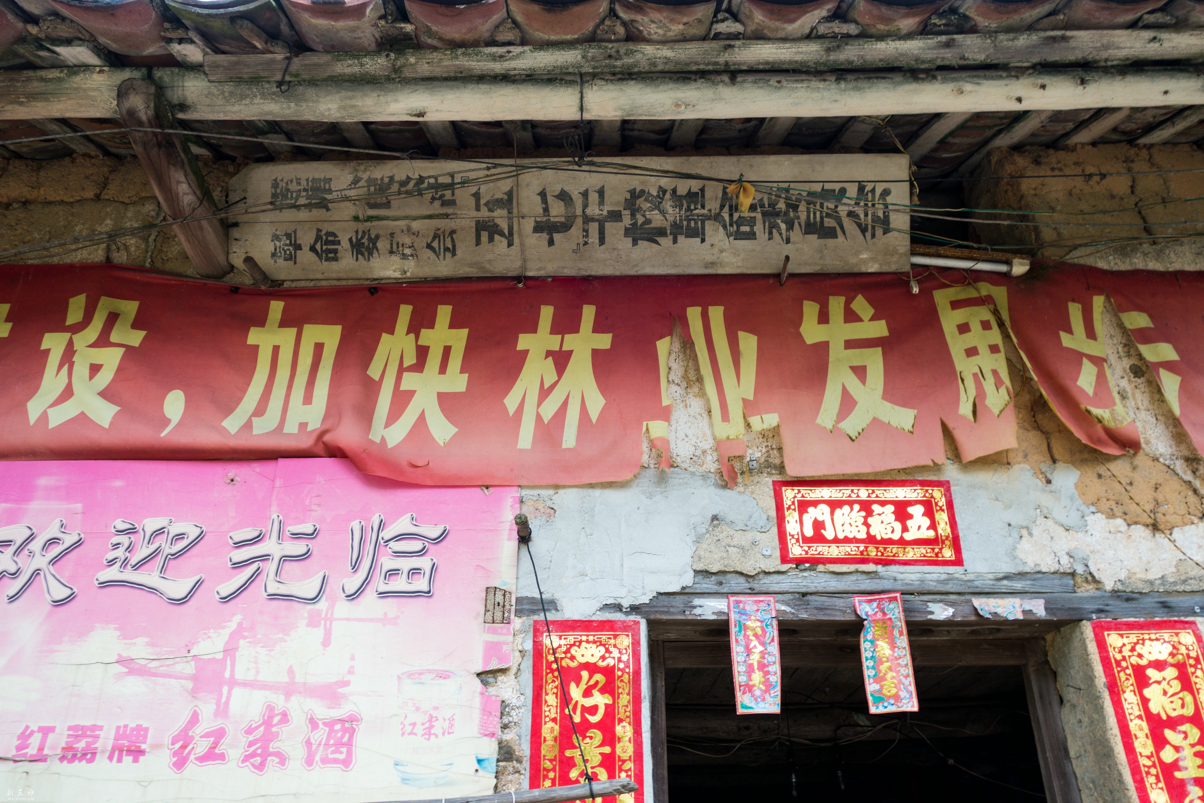 DSC05806.jpg
