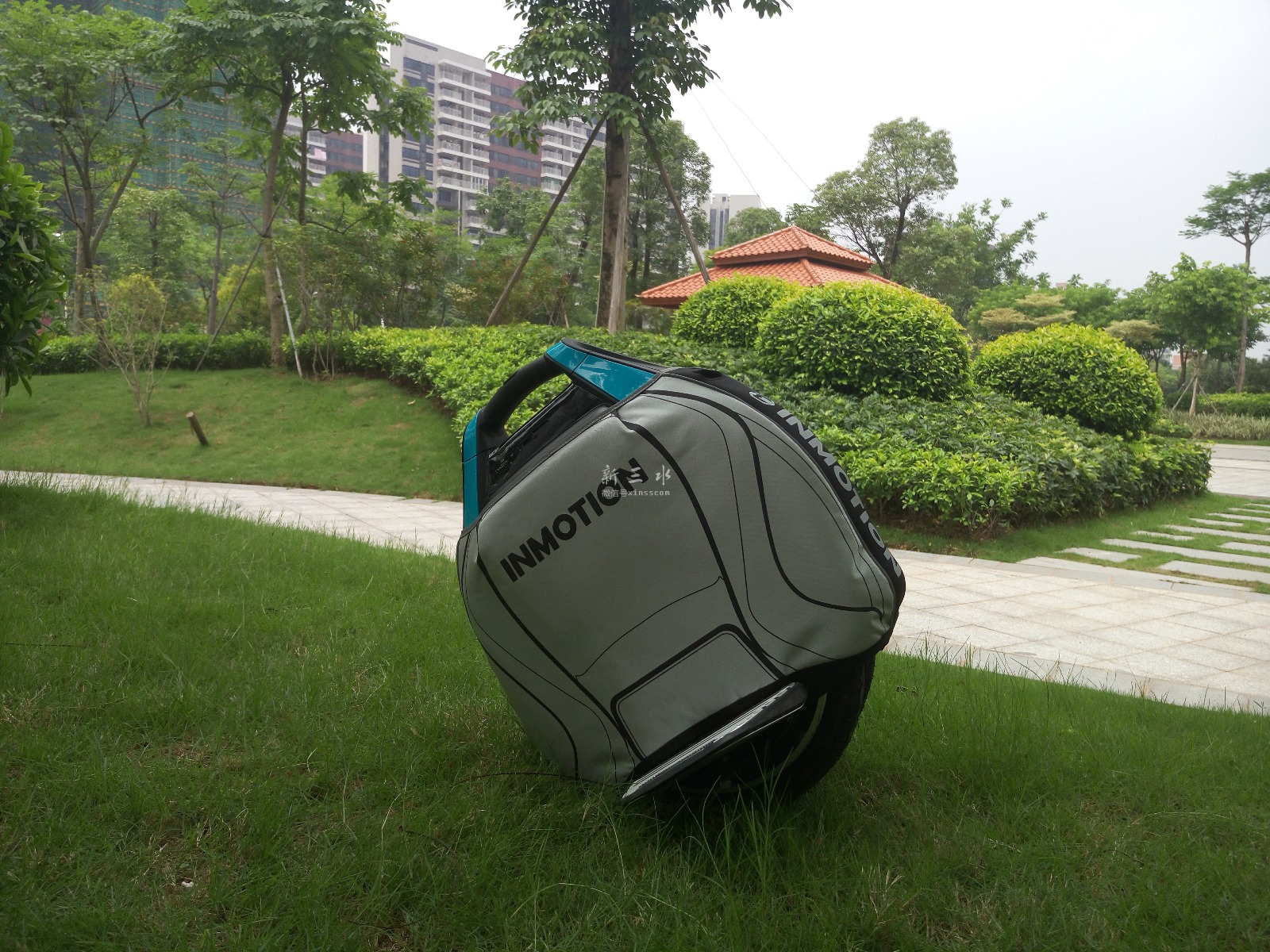 P60607-131225.jpg