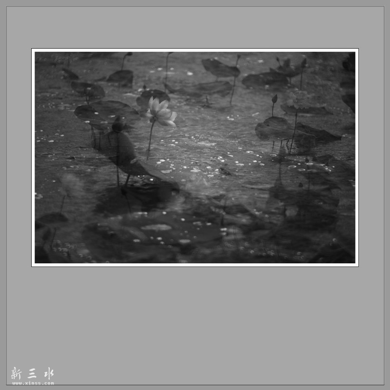 鑽峰?鍙堥亣杩炲?闆