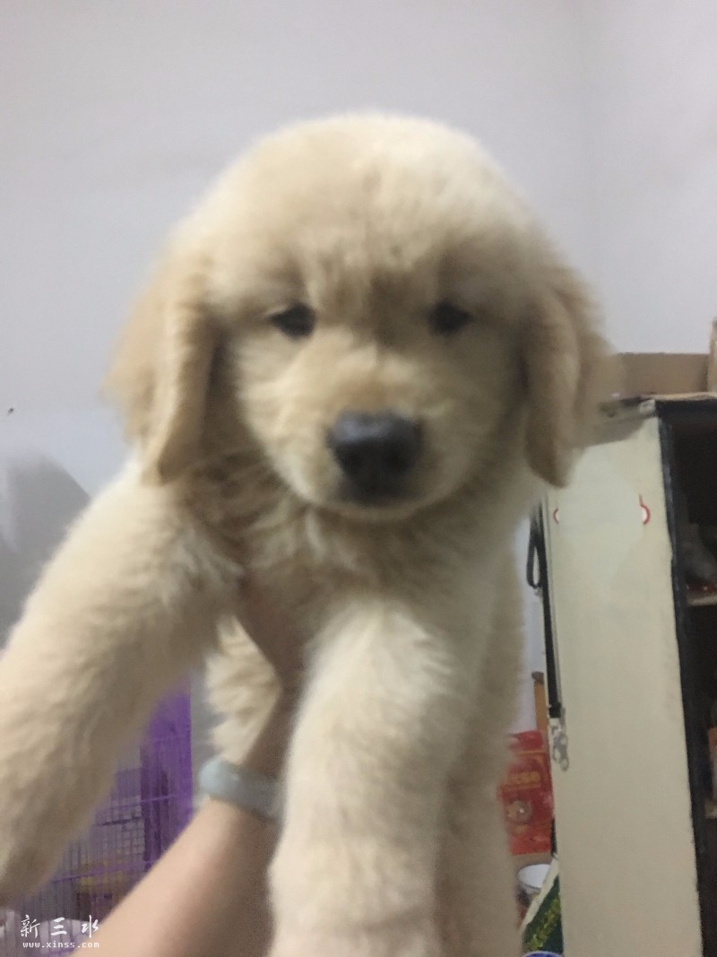 QQ鍥剧墖20160612005541.jpg