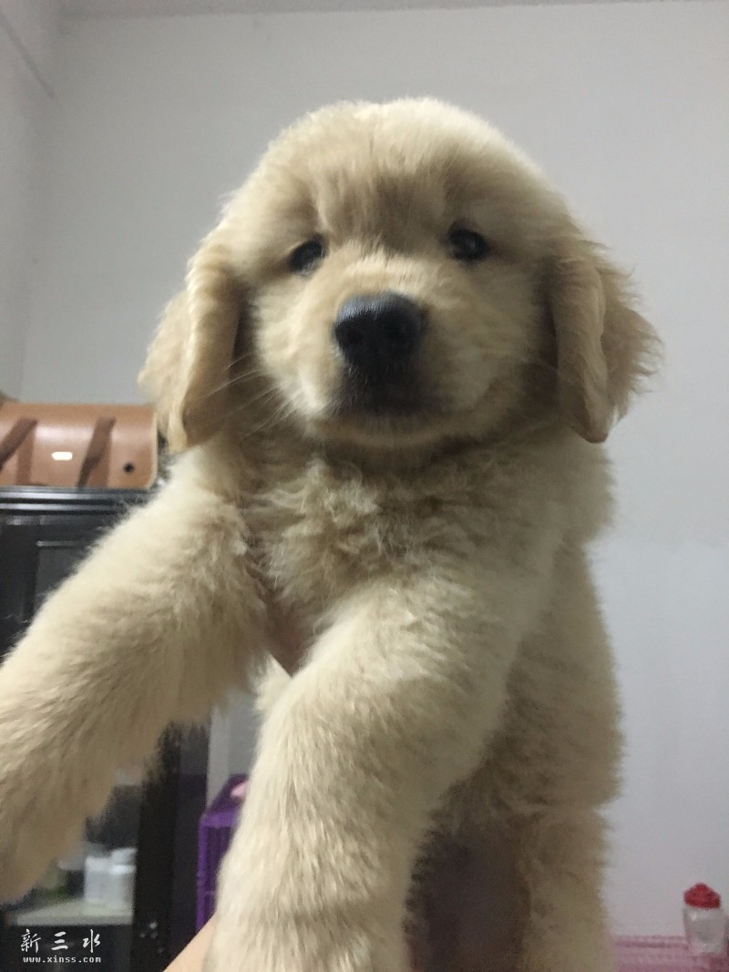 QQ鍥剧墖20160612005550.jpg