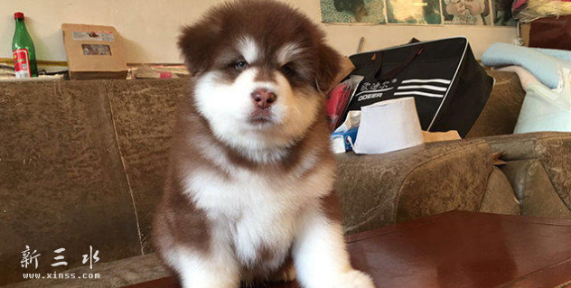 QQ截图20160615140211.png