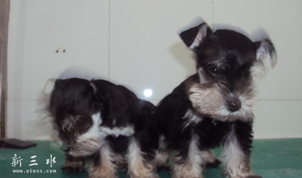 QQ截图20160409204158.png