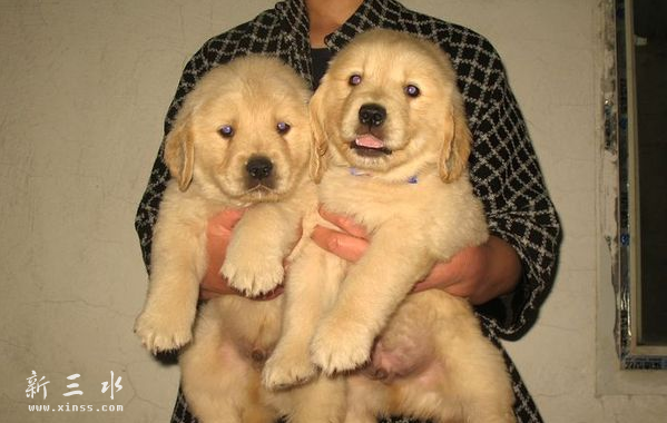 QQ截图20160615140025.png