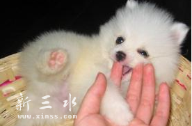 QQ截图20160409203330.png