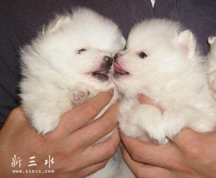 QQ截图20160409203130.png