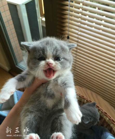 QQ截图20160615143555.png