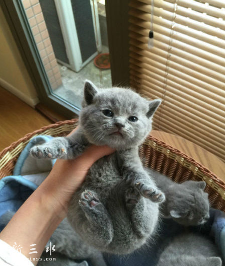 QQ截图20160615143619.png