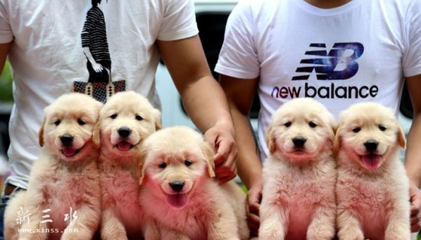 QQ截图20160619135530.png