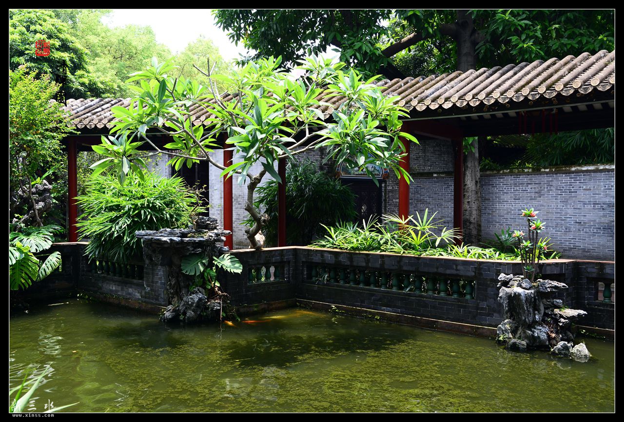DSC_6330_副本.jpg