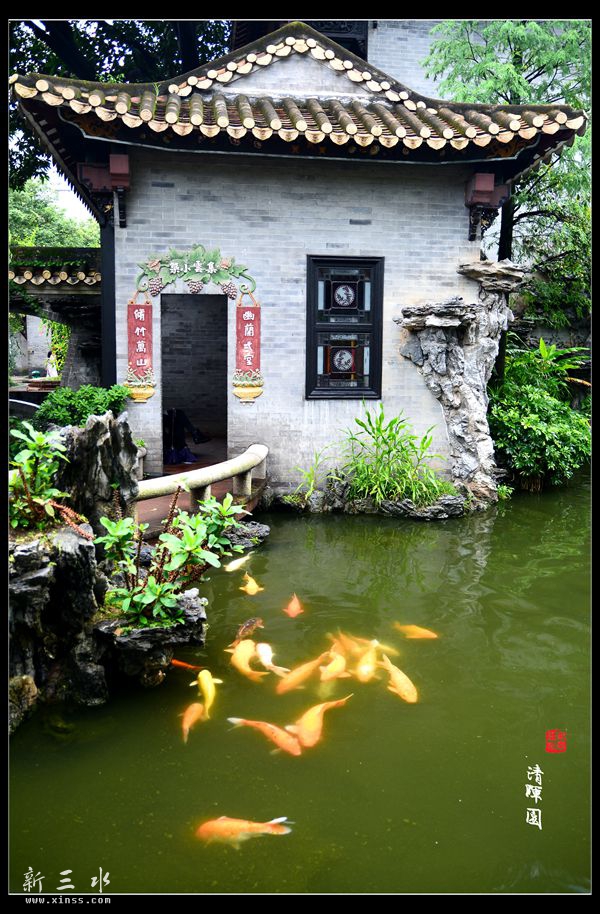 DSC_6540_副本.jpg