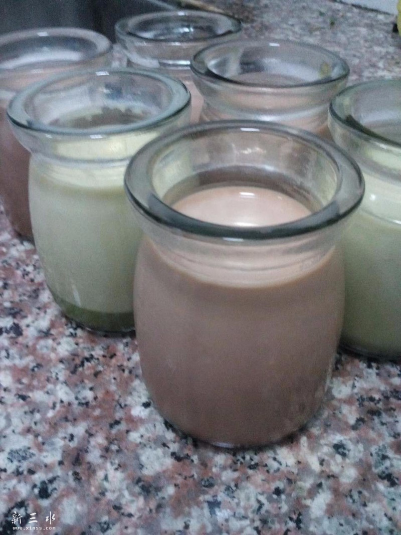巧克力布丁和抹茶布丁