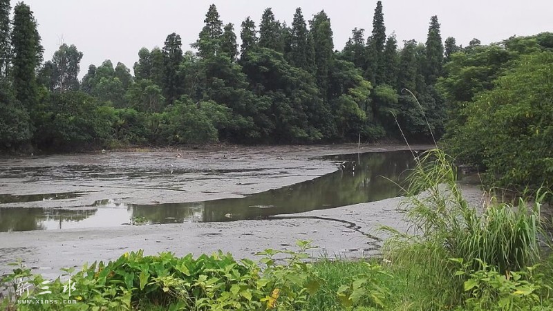 ʪ������ʵ�кü�ֻ�׺ף���ϧ���ֻ����㹦�����ޣ�ֻ�ĵ�һ̯���࣬ʧ������