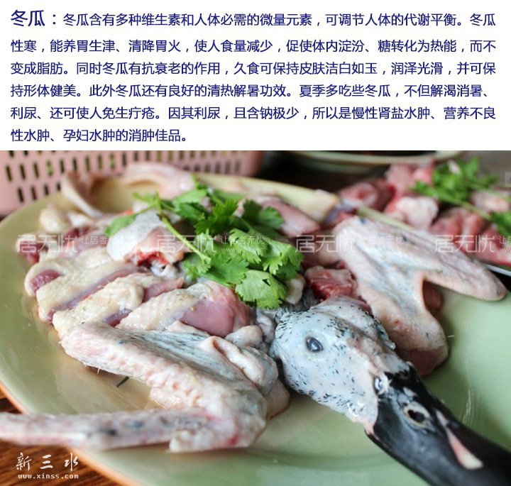 青头鸭