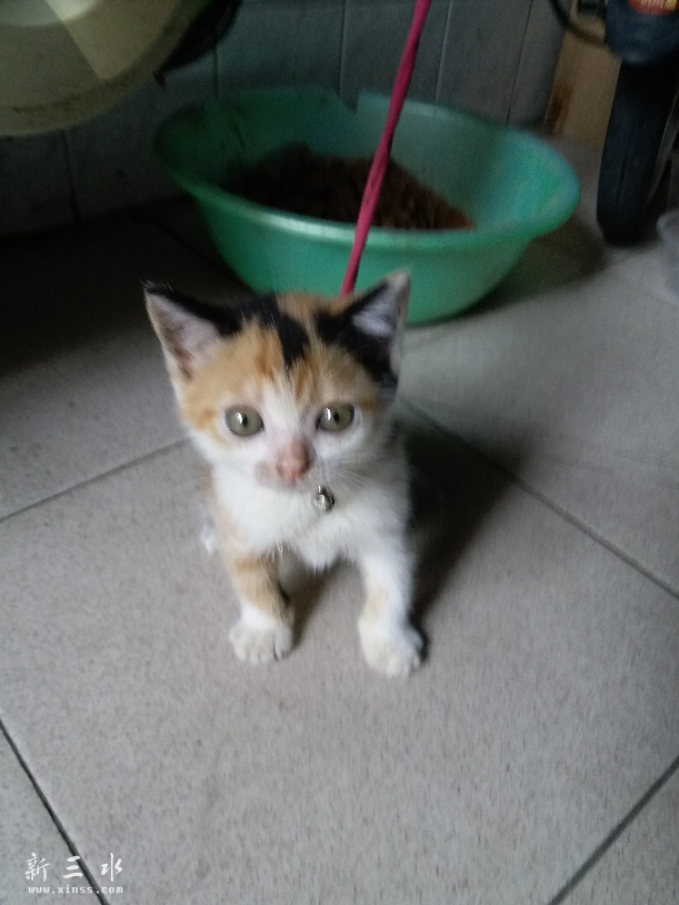 20160730_094602.jpg