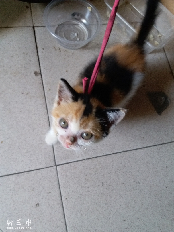 20160728_130904.jpg