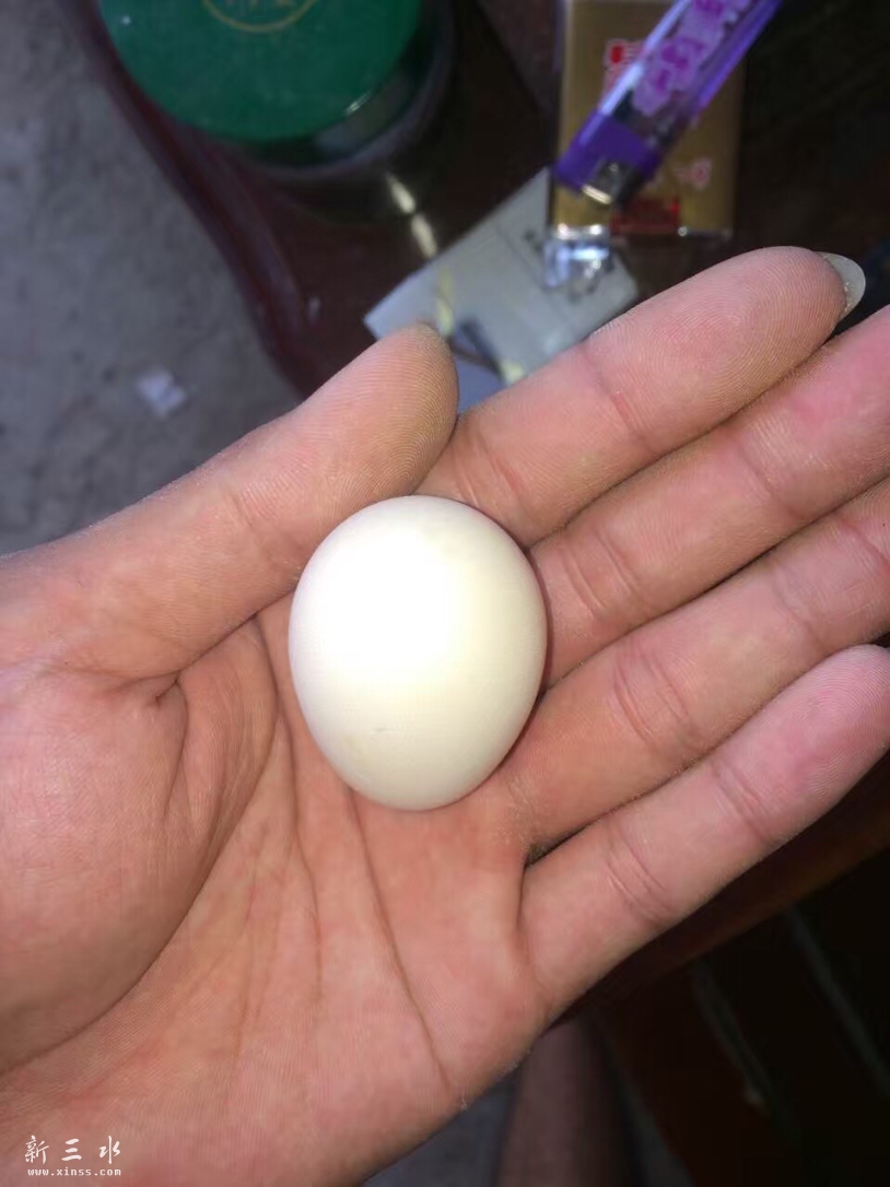 image.jpeg