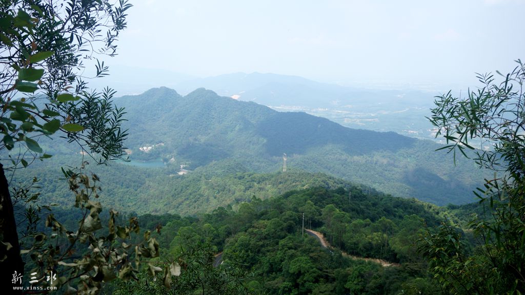 DSC02129_副本.jpg