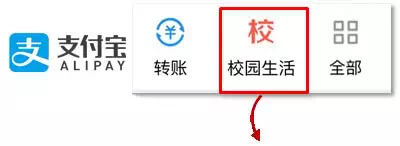 IMG_2804.PNG