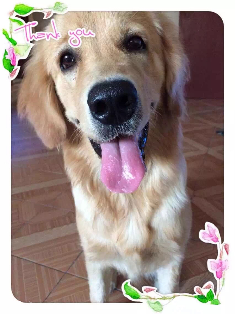 image.jpeg