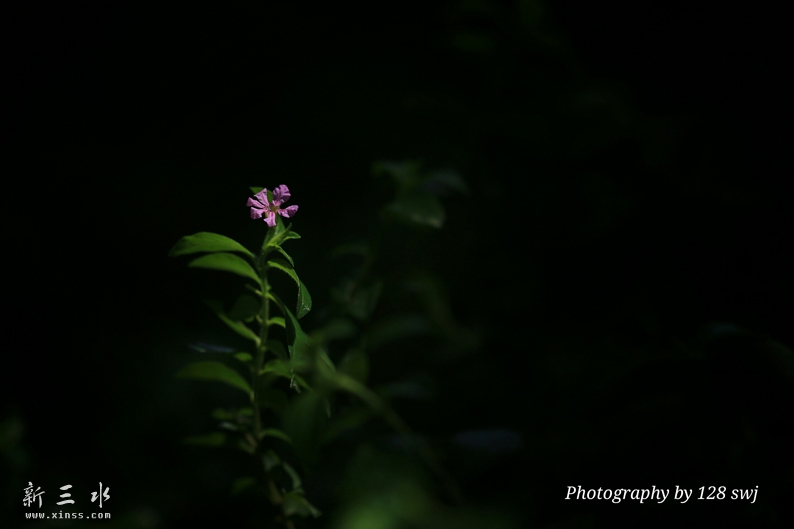 IMG_1792-01鍓?湰.jpg