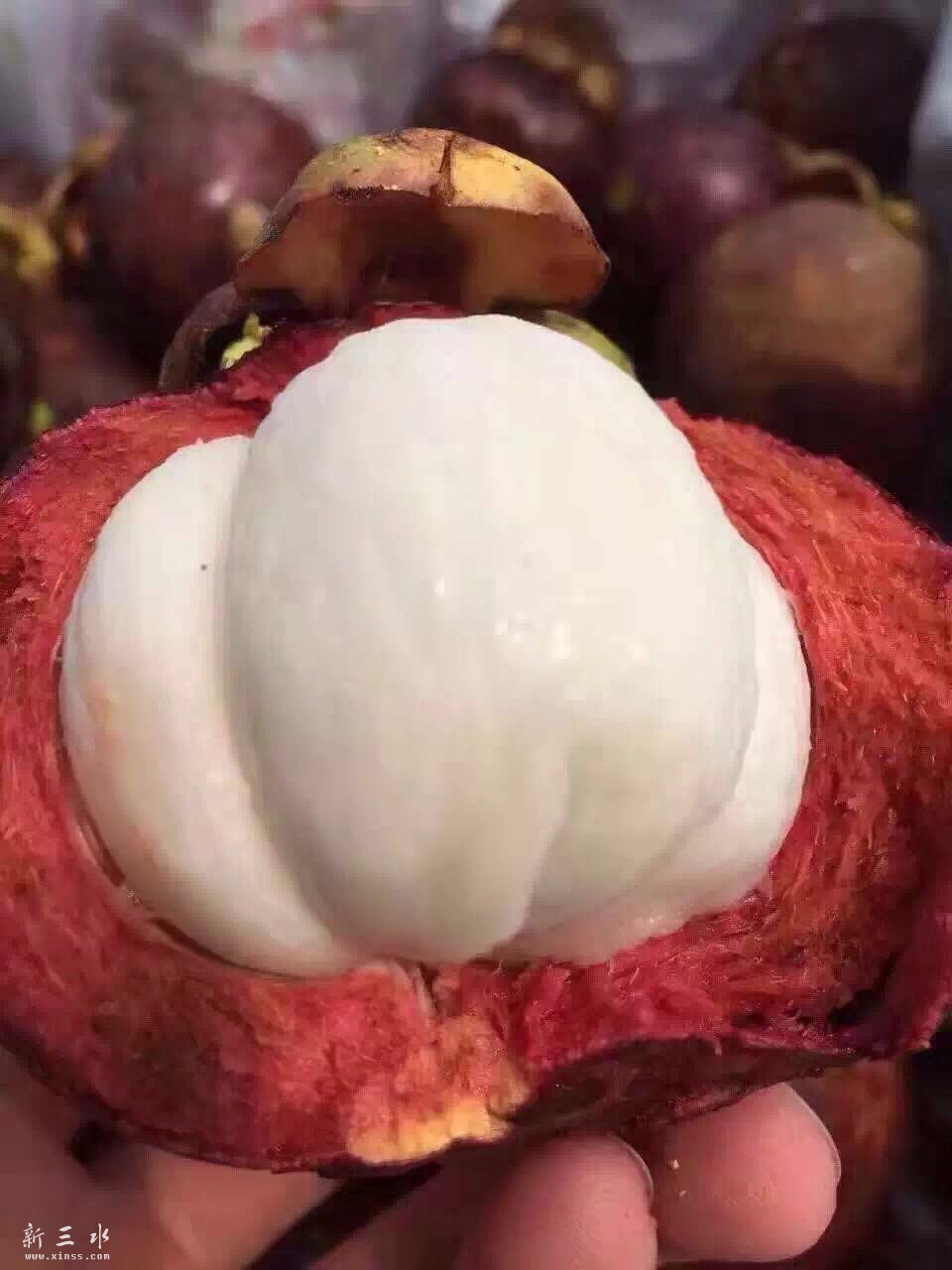 不一样的山竹