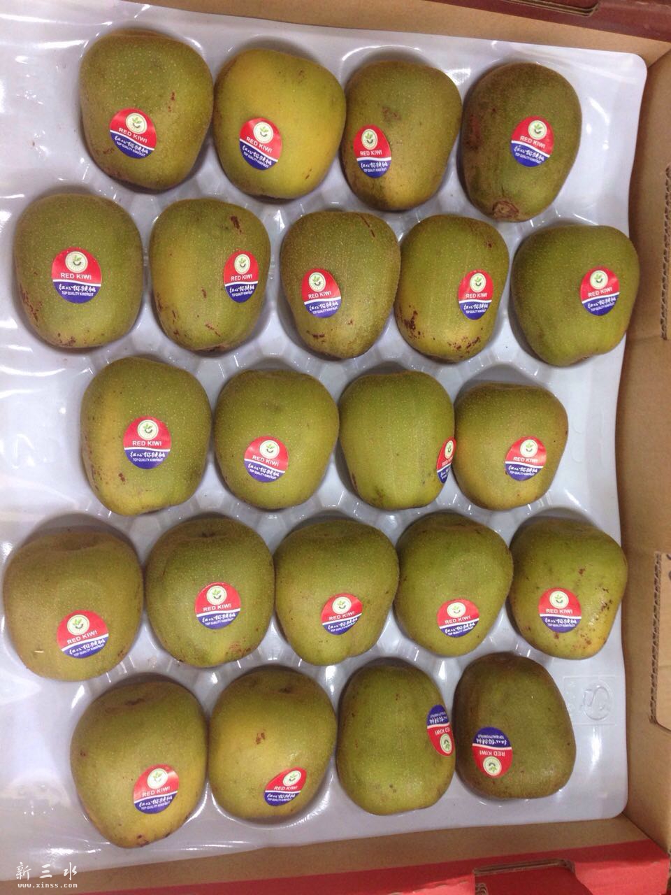 红心22头奇异果（红心）