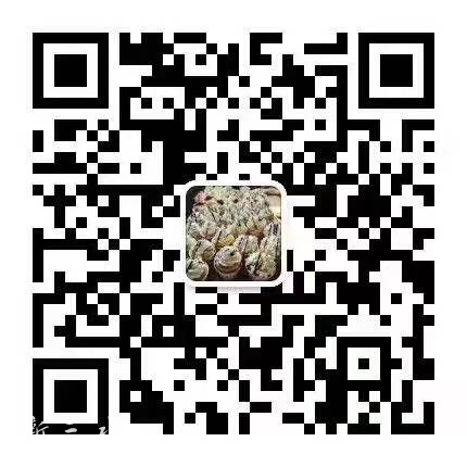 533652107756234638.jpg
