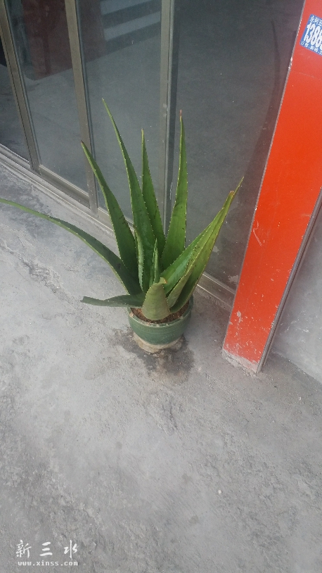 20161007_161844.jpg