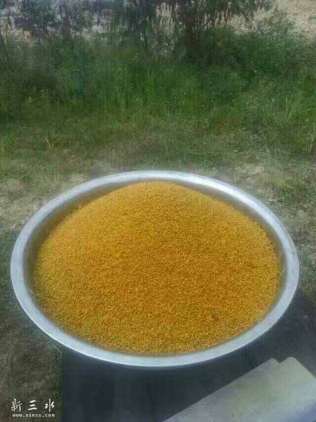 095130xyvy5k0vk6ylzlk0.jpg