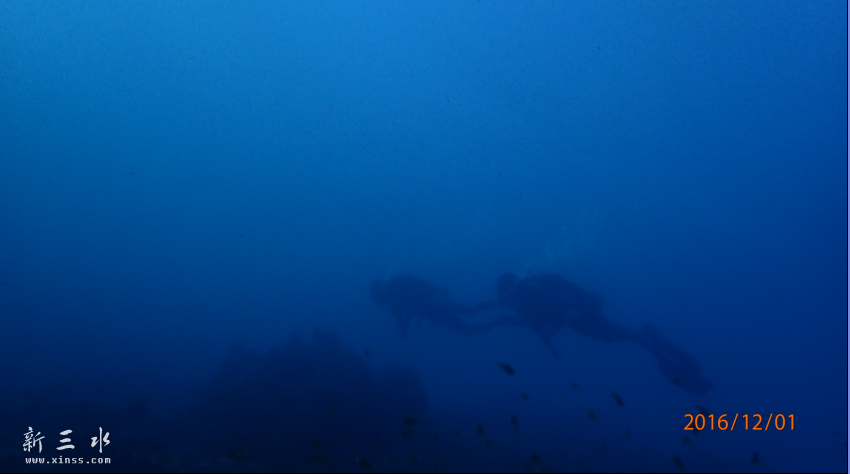 QQͼƬ20161212130616.png