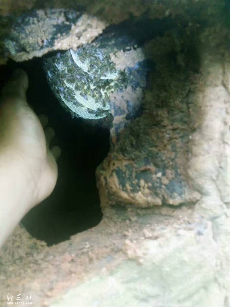 084814rfixpnfezidqfxea.jpg
