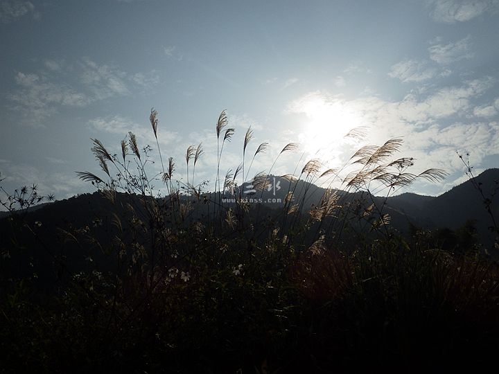 2016-12-18 09-34ɽ.jpg