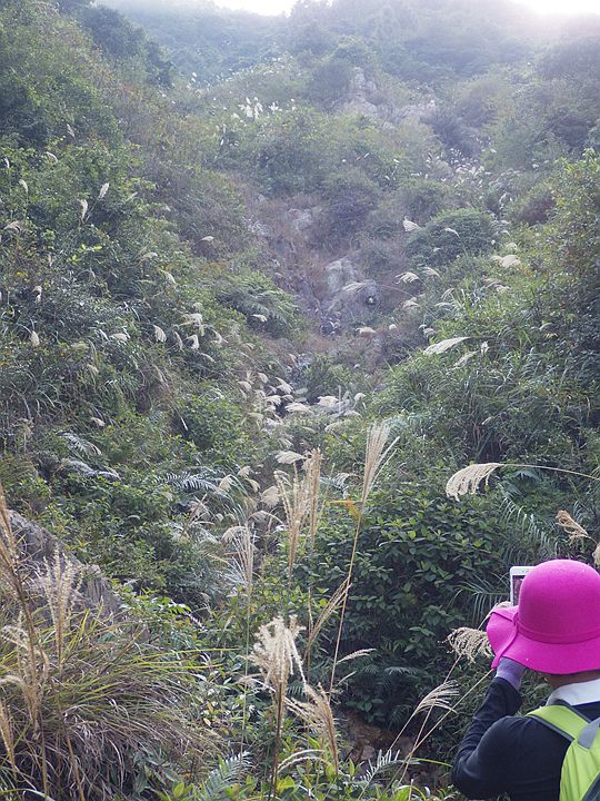 2016-12-18 09-53ɽ.jpg