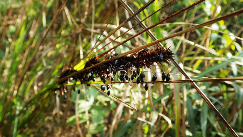 2016-12-18 10-5Ұ.jpg