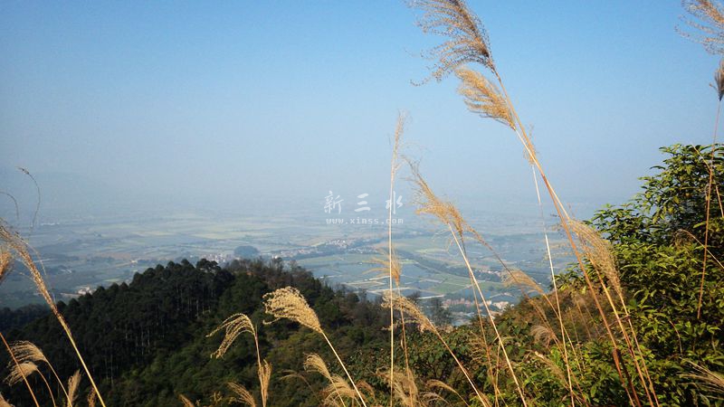 2016-12-18 11-30ɽ.jpg