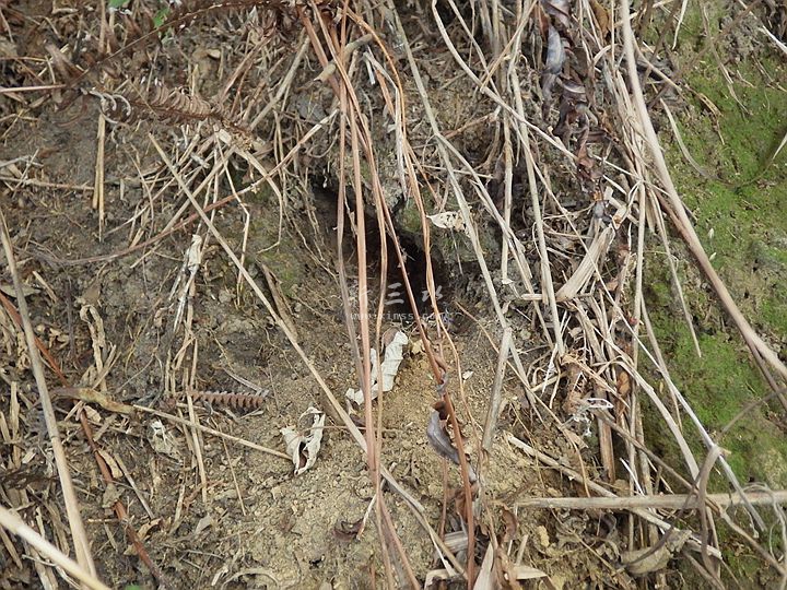 2016-12-18 11-21.jpg