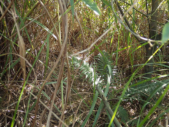 2016-12-18 11-40Ұ·.jpg