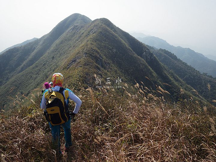 2016-12-18 13-10紵޴.jpg