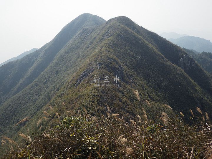 2016-12-18 13-26紵޴.jpg