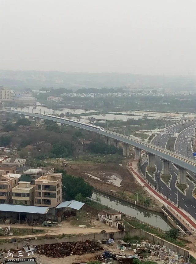 5555.jpg