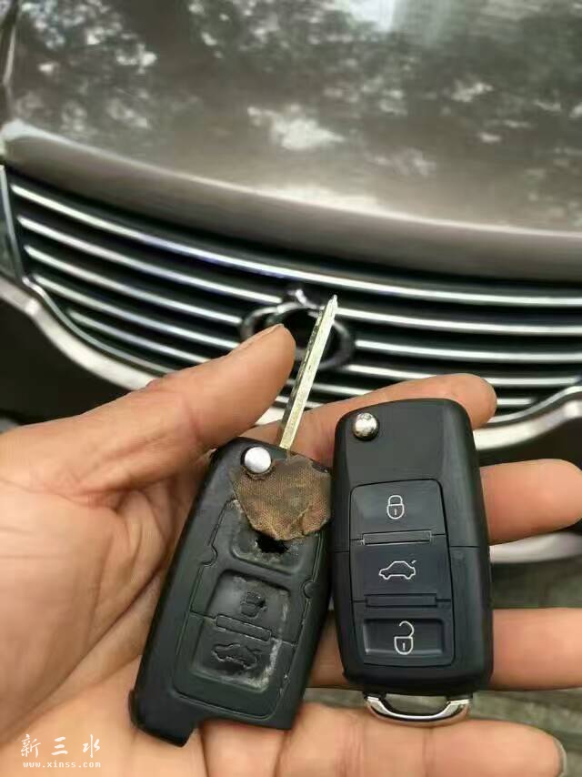 731096493554555597.jpg