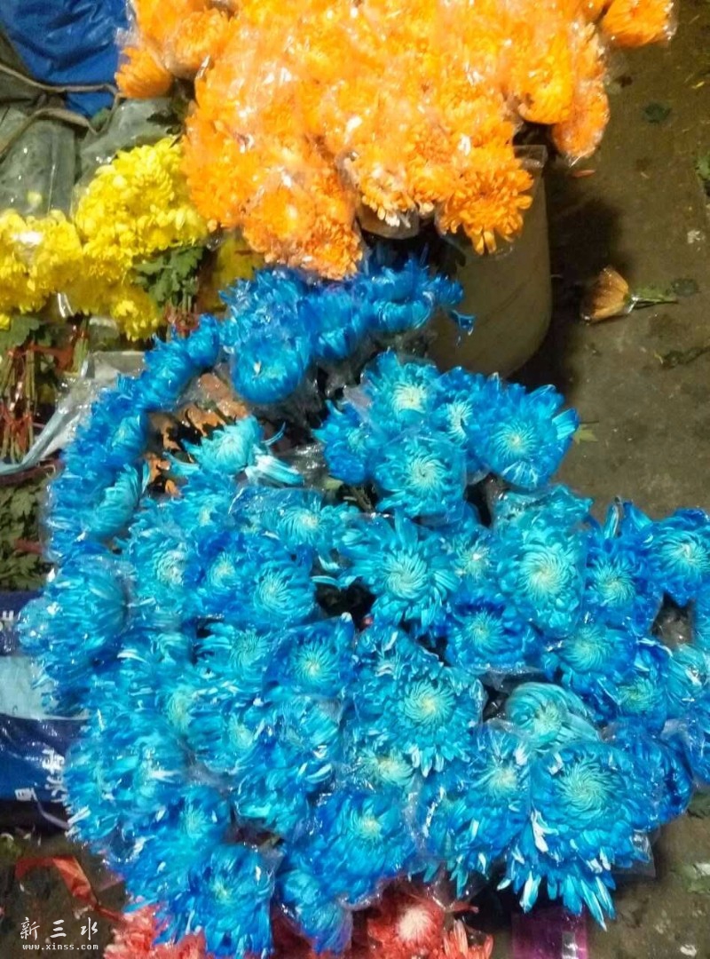 �г���󣬽��뻨���򻨣�ĳ���ӵĽ����̲�ʹ���ˣ�����