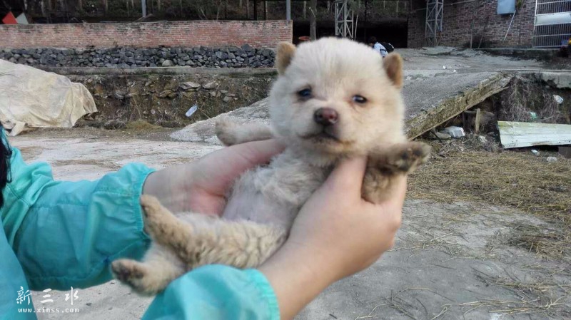 �ɰ���С��