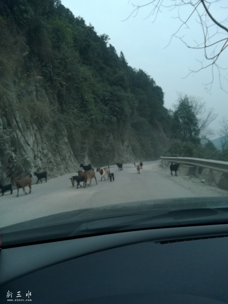 ��������·����ˮ200�๫������6����Сʱ